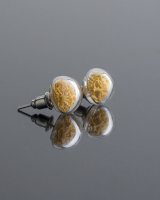 Stud earrings with yellow moss